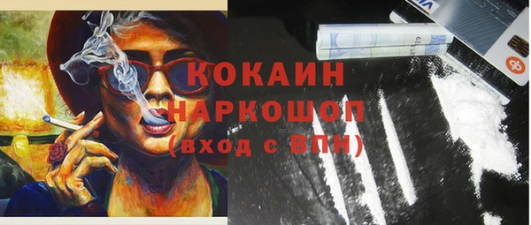 Альфа ПВП Новозыбков