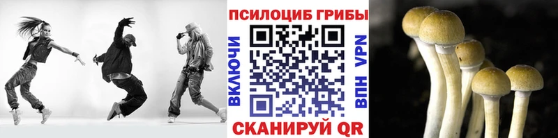 Галлюциногенные грибы прущие грибы наркошоп Подпорожье