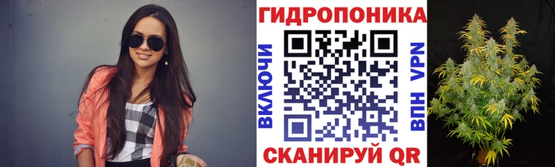 Бошки Шишки White Widow  Подпорожье 